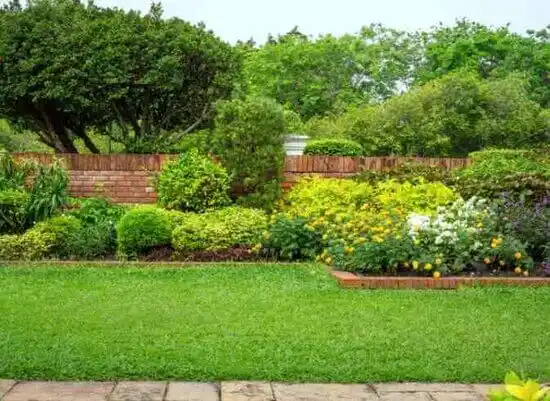 landscaping services Coon Rapids